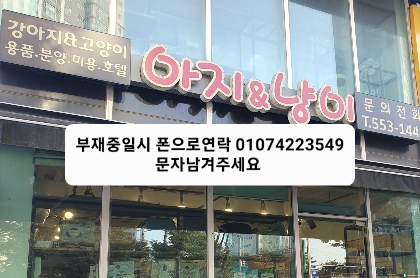 아지&냥이